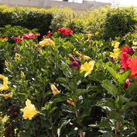 Hospedaje El Girasol Tababela Quito Exteriör bild