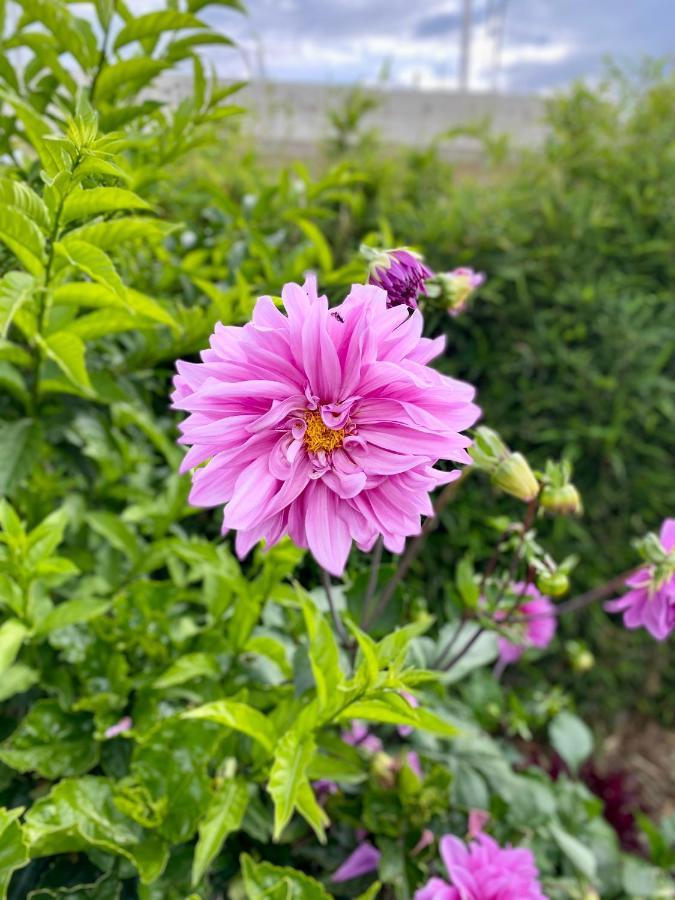 Hospedaje El Girasol Tababela Quito Exteriör bild