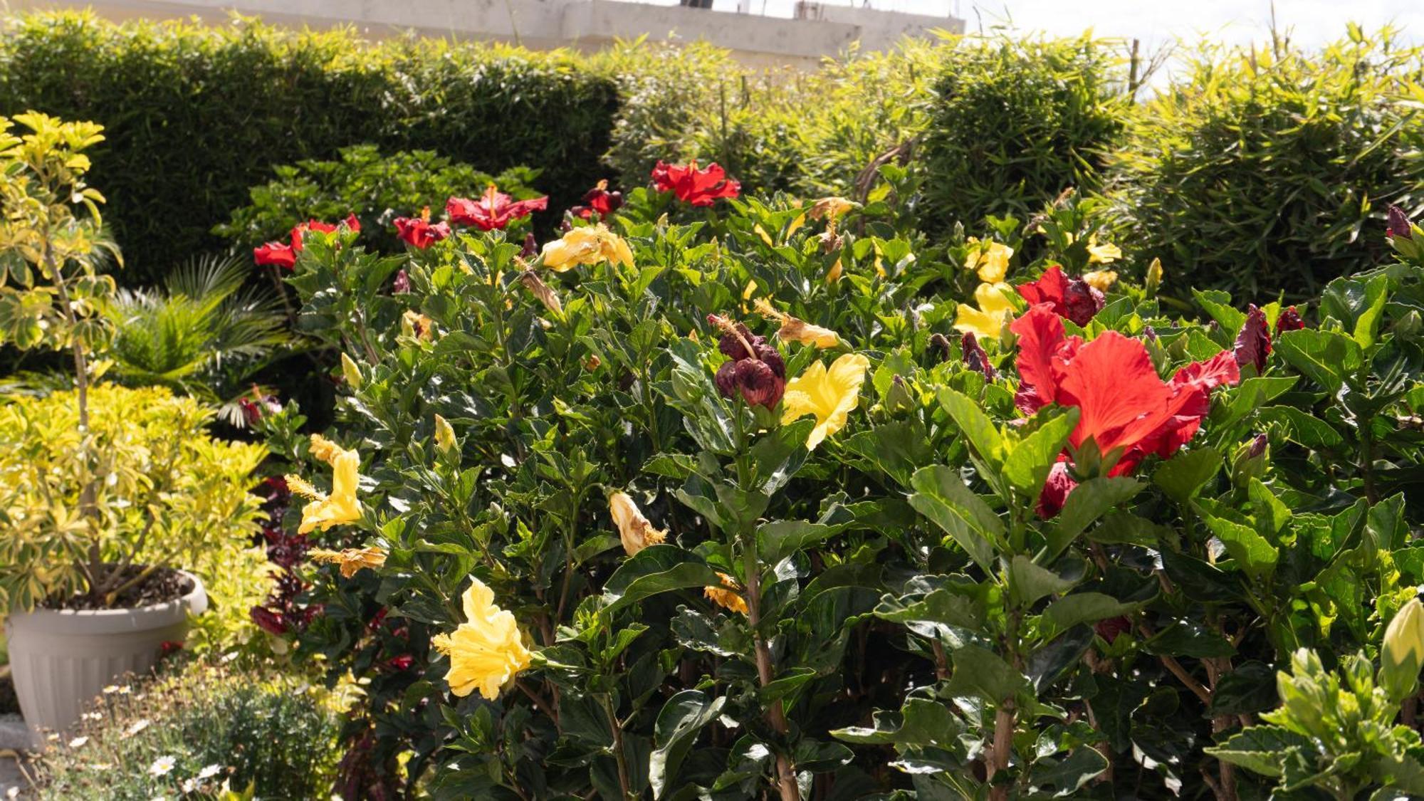 Hospedaje El Girasol Tababela Quito Exteriör bild